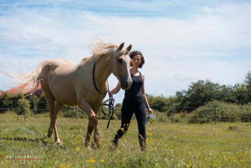 shooting-studio-animaux (8)